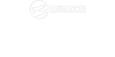 高端网站建设与数字营销服务商|连云港网络公司