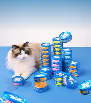 连云港网络公司 | 高端网站建设