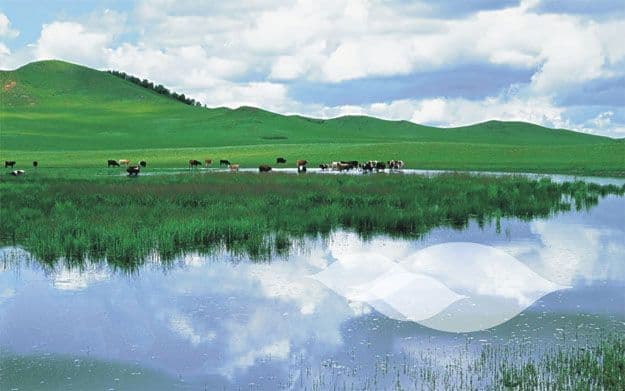 连云港品牌标志＆Vi