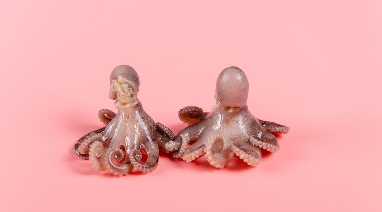 连云港商业摄影＆Tvc宣传片