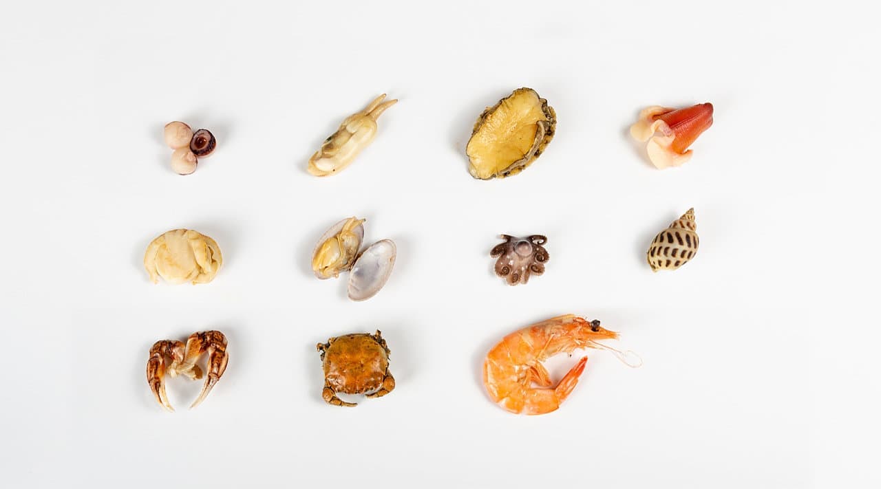 连云港商业摄影＆Tvc宣传片