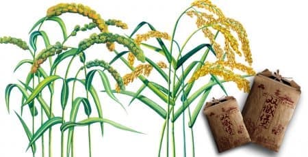 连云港网络公司 | 高端网站建设