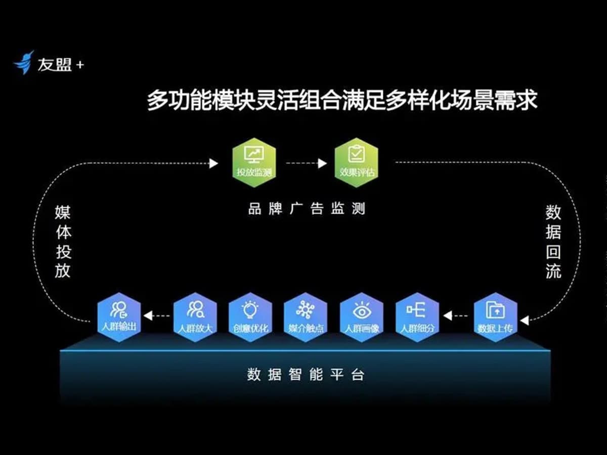 高端网站建设与数字营销服务商|连云港网络公司