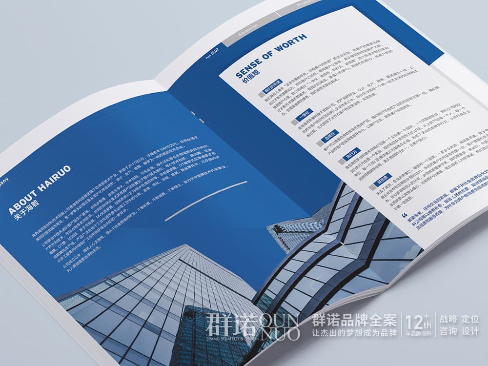 高端网站建设与数字营销服务商|连云港网络公司