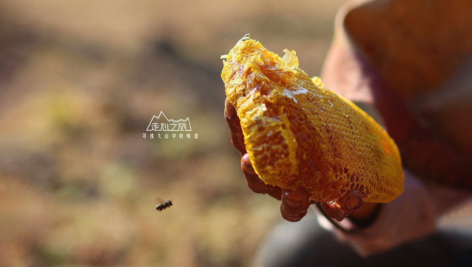 连云港产品＆包装