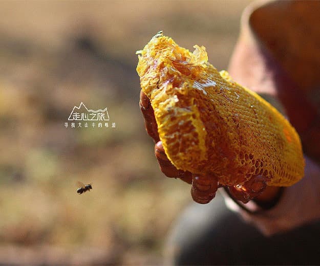 连云港网络公司 | 高端网站建设