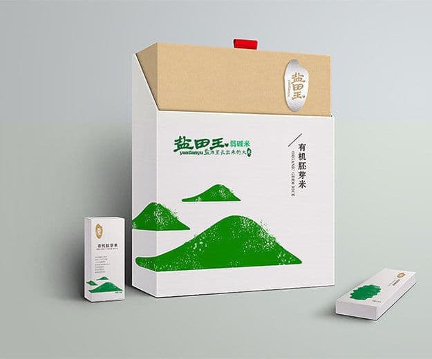 高端网站建设与数字营销服务商|连云港网络公司