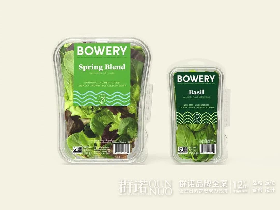 连云港网络公司 | 高端网站建设