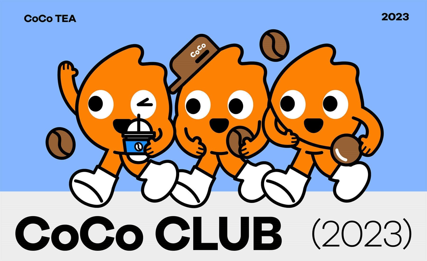 高端网站建设与数字营销服务商|连云港网络公司