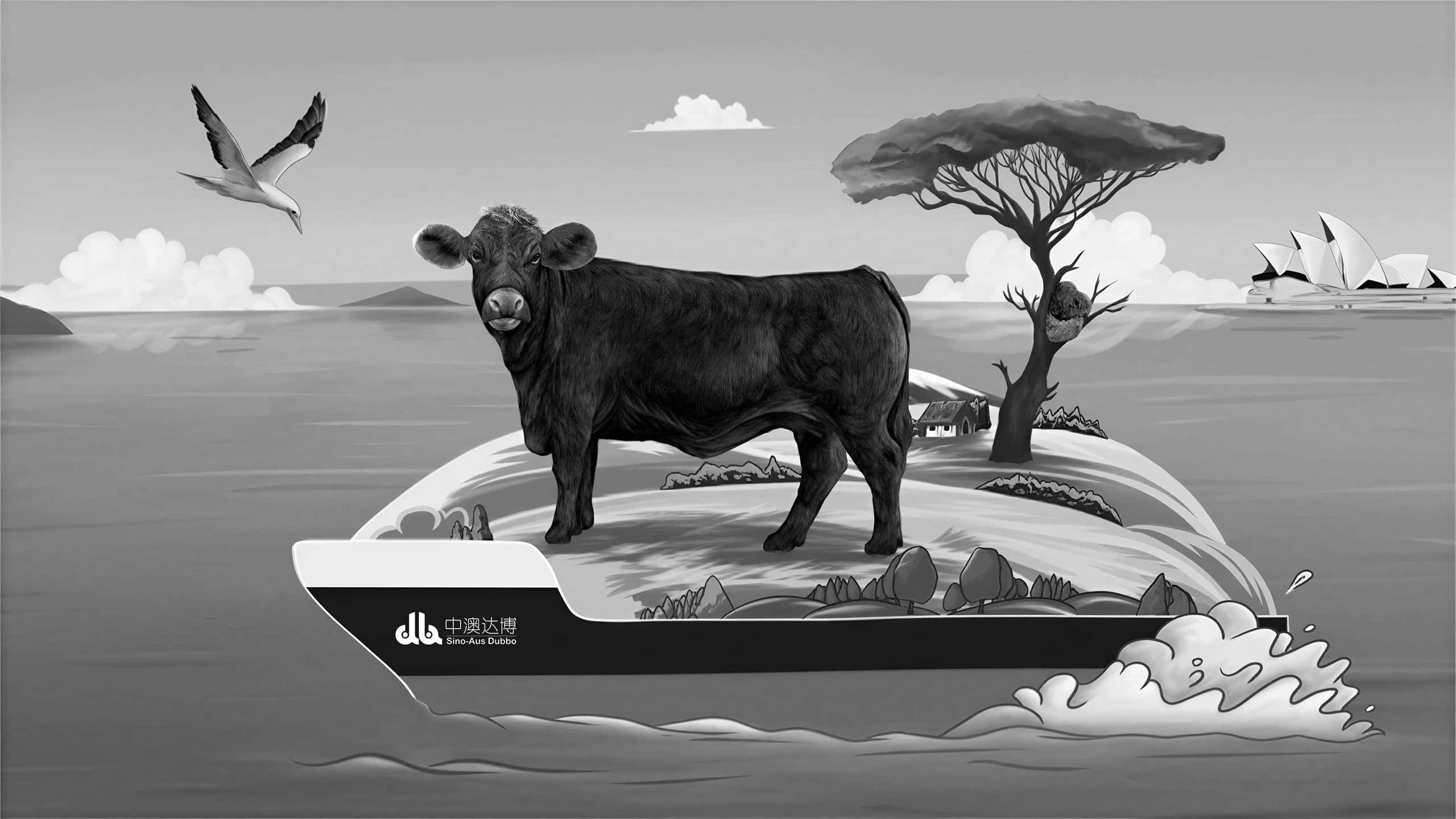 连云港战略品牌创建＆设计