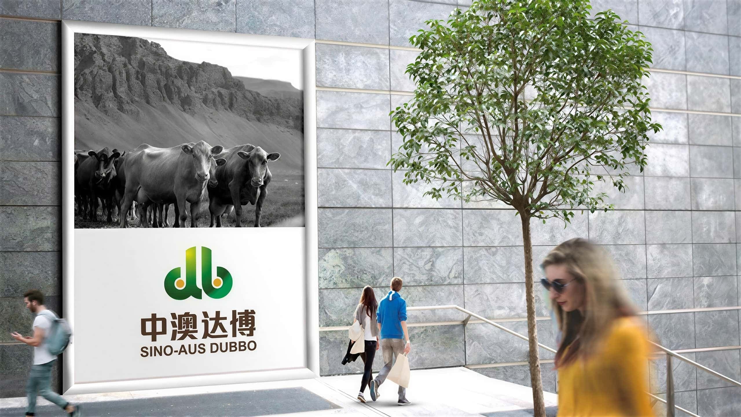 连云港战略品牌创建＆设计