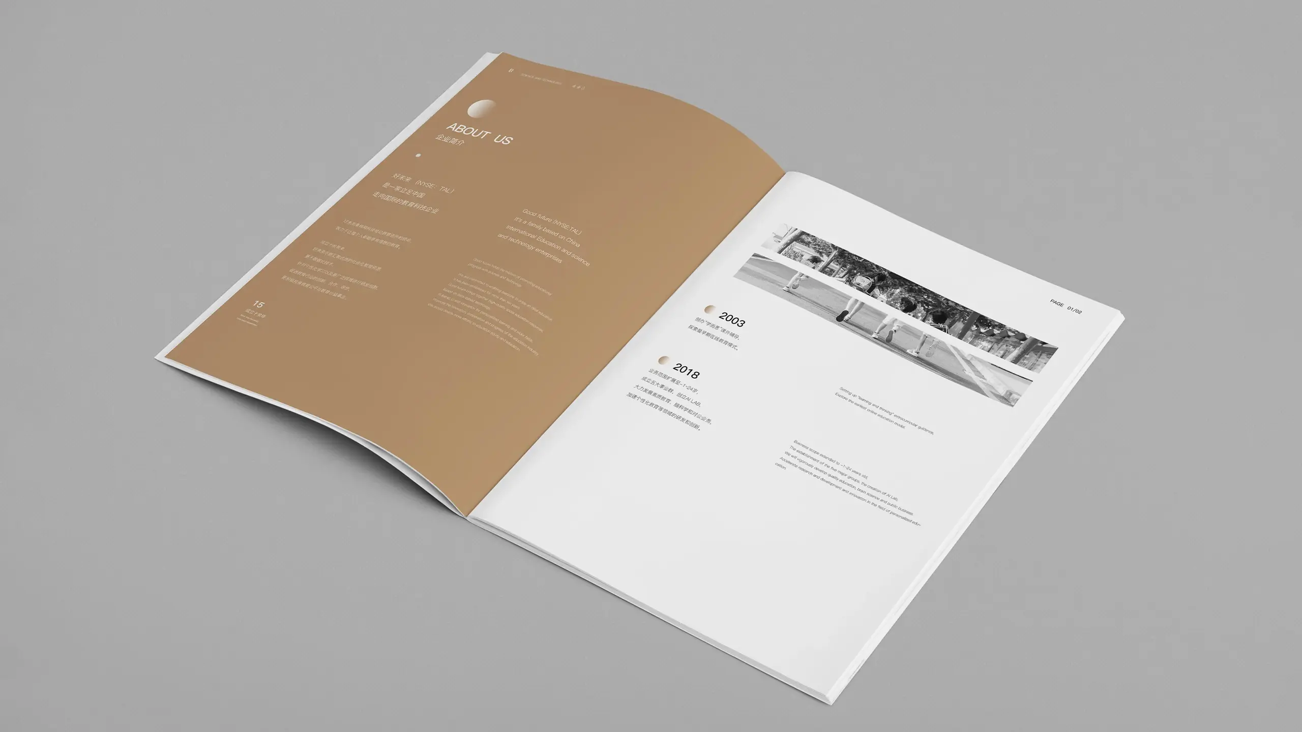 连云港企业画册设计