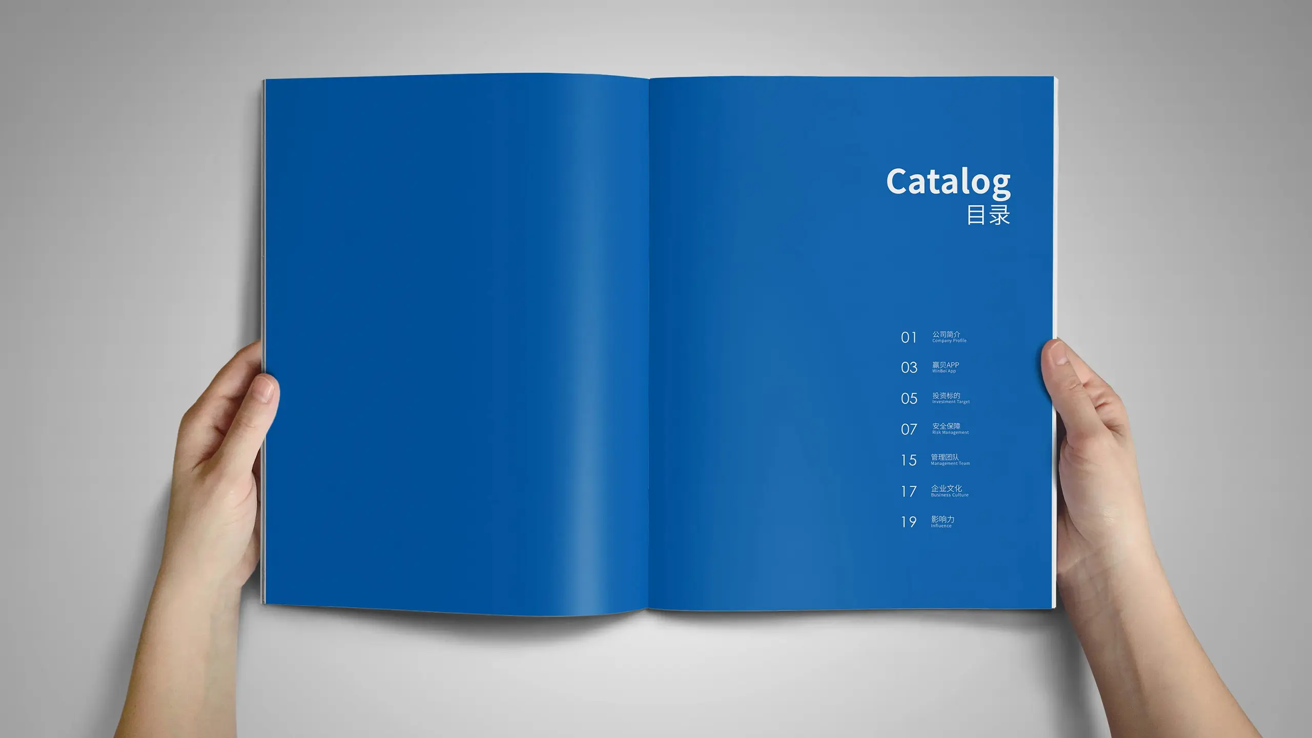 连云港企业画册设计