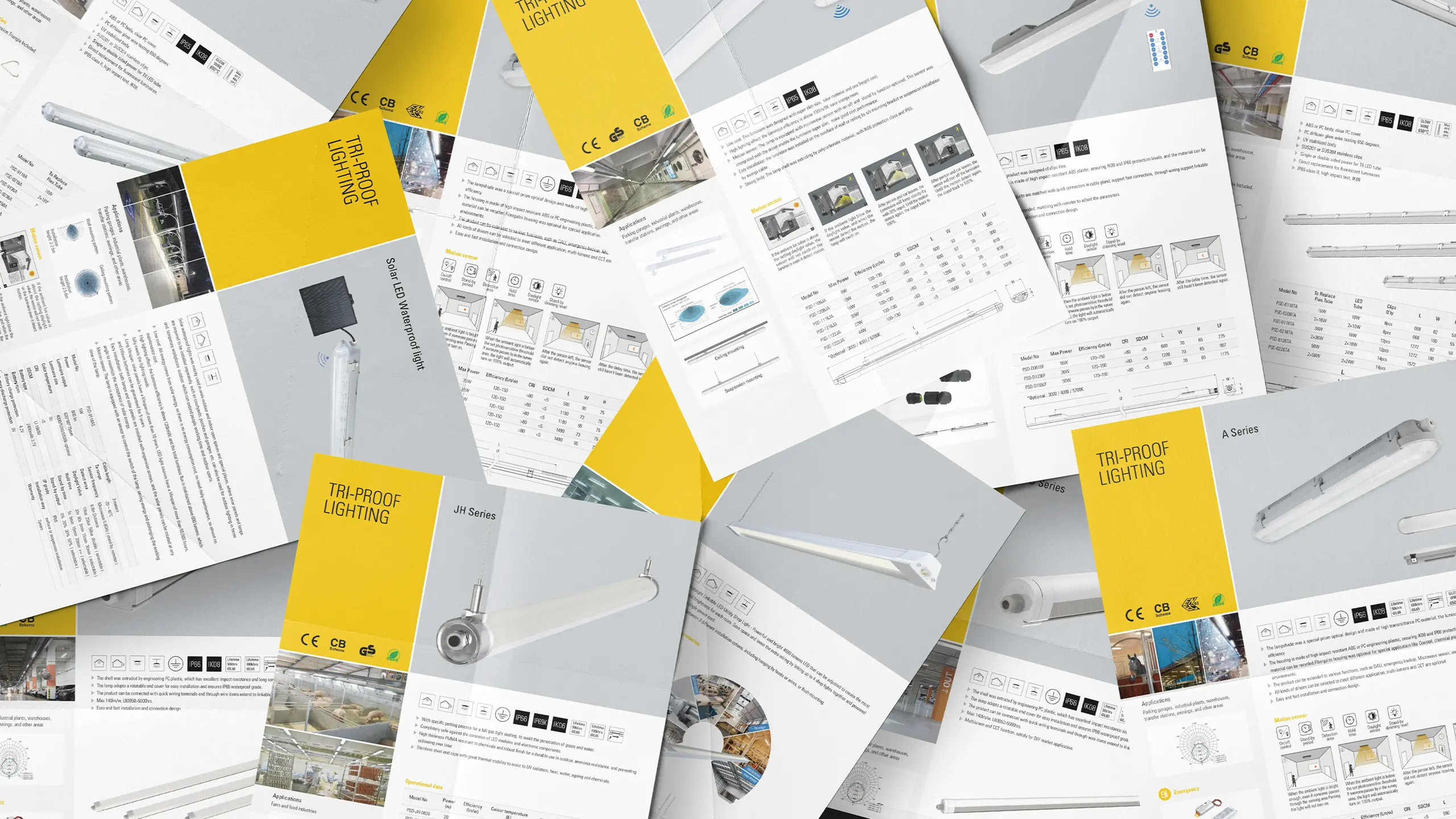 连云港网络公司 | 高端网站建设