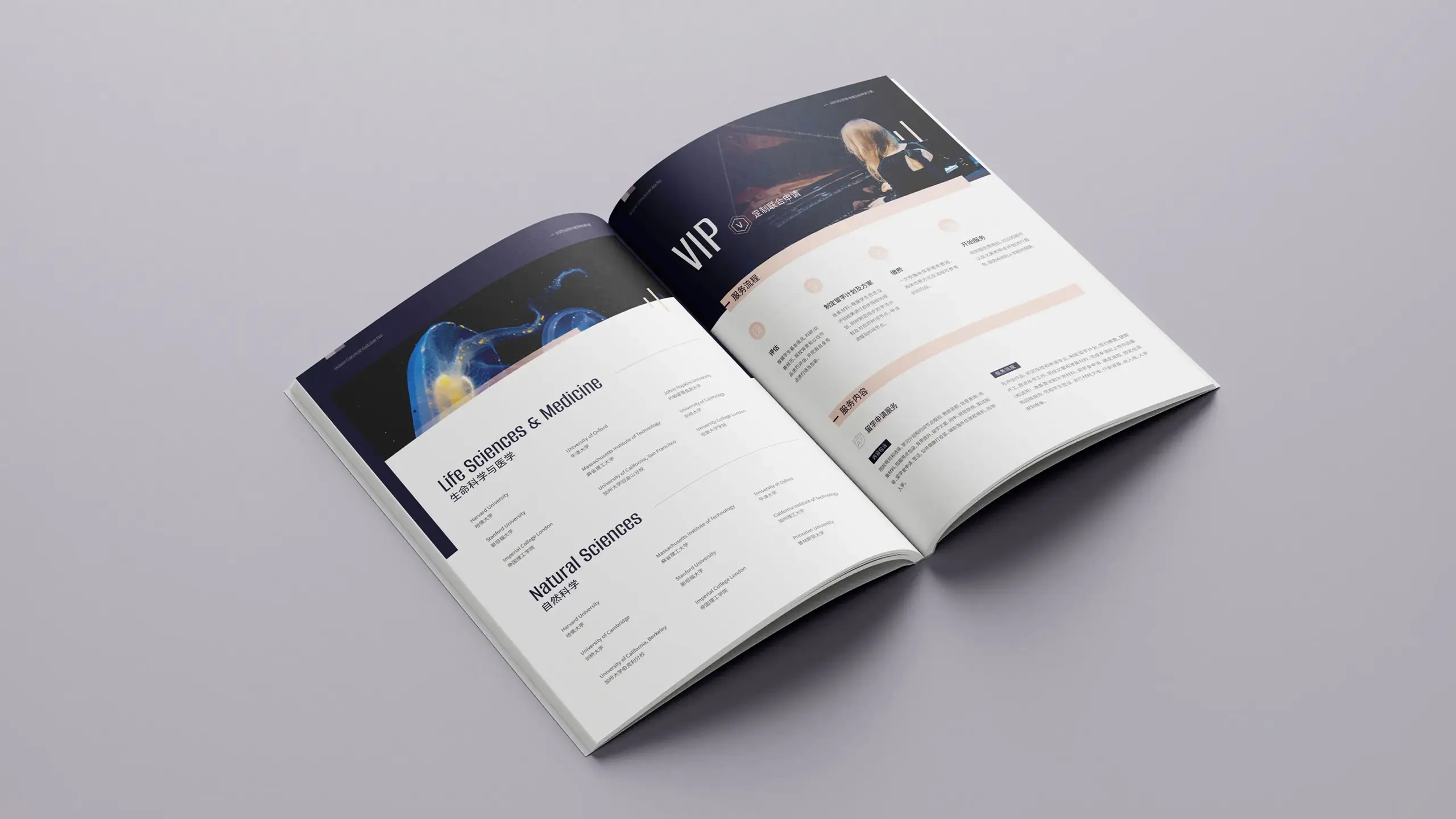 连云港企业画册设计